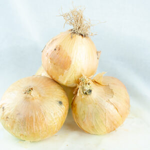 CEBOLLA-DULCE CEBOLLA DULCE