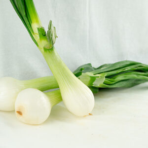 MANOJO DE CEBOLLETAS