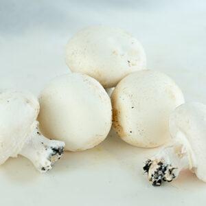 BANDEJA CHAMPIÑON EXTRA