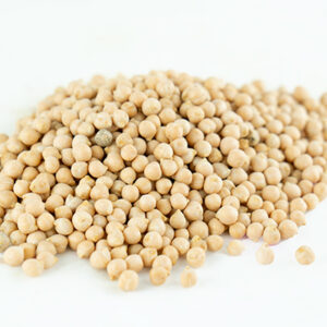 GARBANZO PEDROSILLANO DE LEÓN