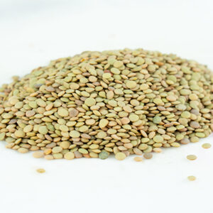 LENTEJA DE SALAMANCA