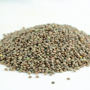 LENTEJA PARDINA DE VALLADOLID