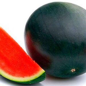 SANDÍA SIN PEPITAS CAL. 3