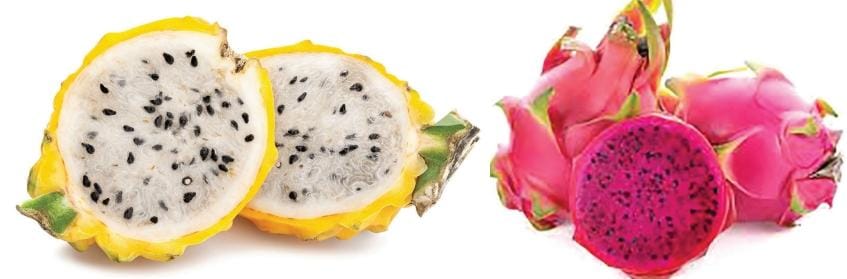 PITAHAYA