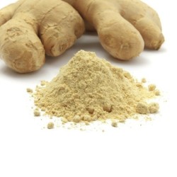 Bote Jengibre Molido