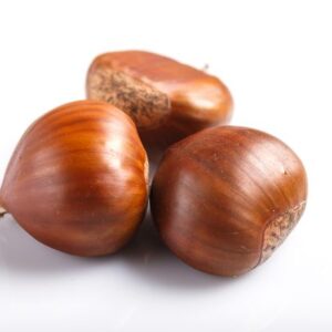 castañas CASTAÑAS SIERRA DE SAN VICENTE