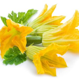 FLOR DE CALABACIN