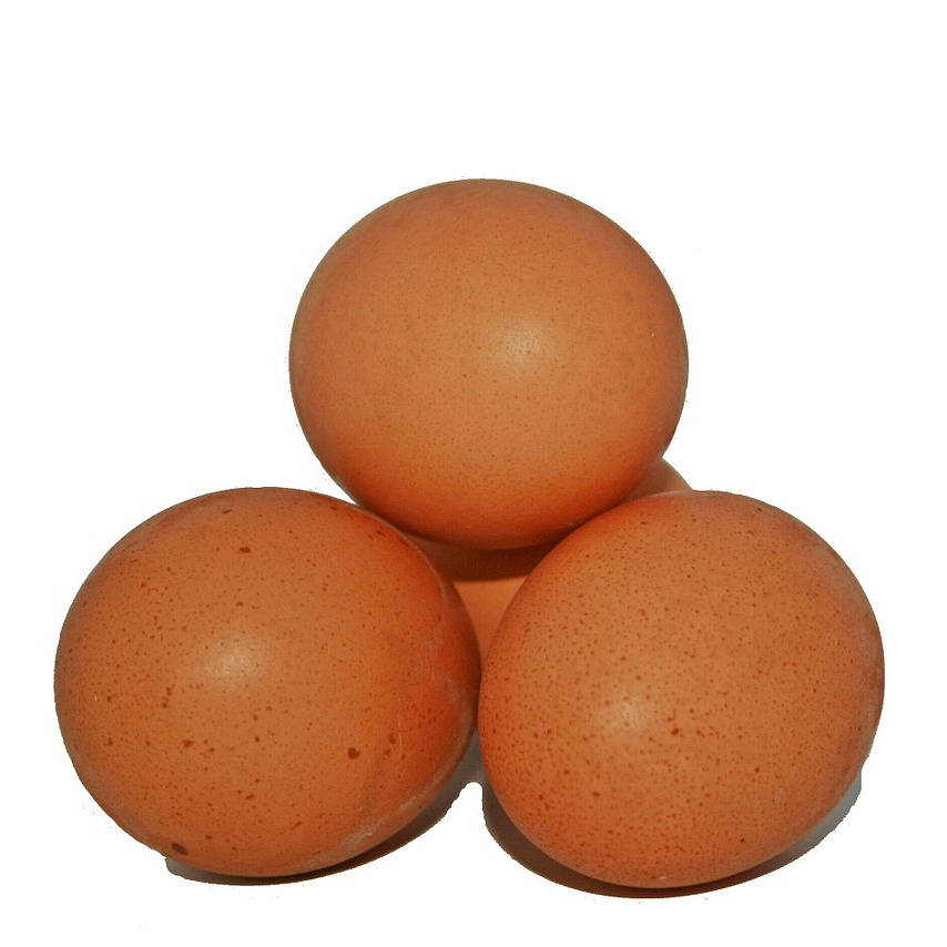 Huevos L (doc) estuchados