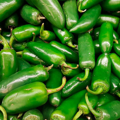 CHILE JALAPEÑO
