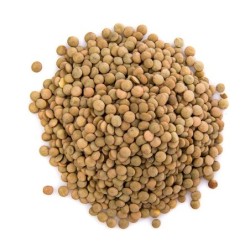 Lentejas Pardinas a granel 1 Kg