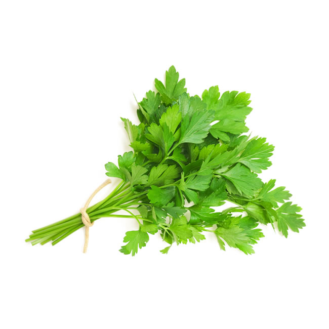 MANOJO DE PEREJIL FRESCO