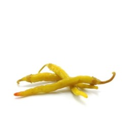 Piparra Extra Selección