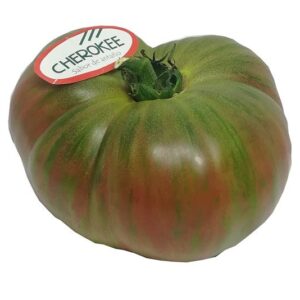 TOMATE CHEROKEE